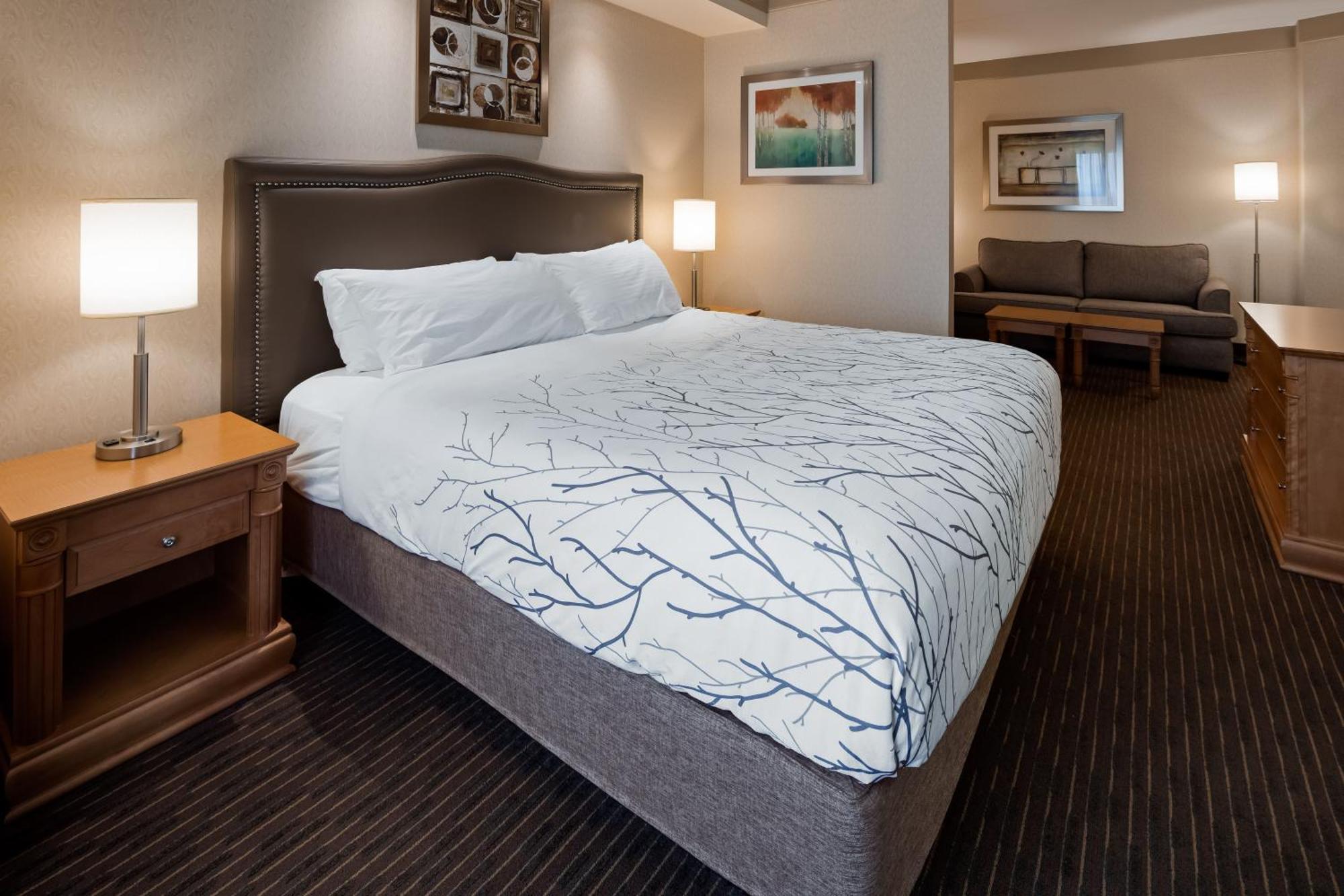 Waterloo Suites Hotel, Trademark Collection By Wyndham 외부 사진
